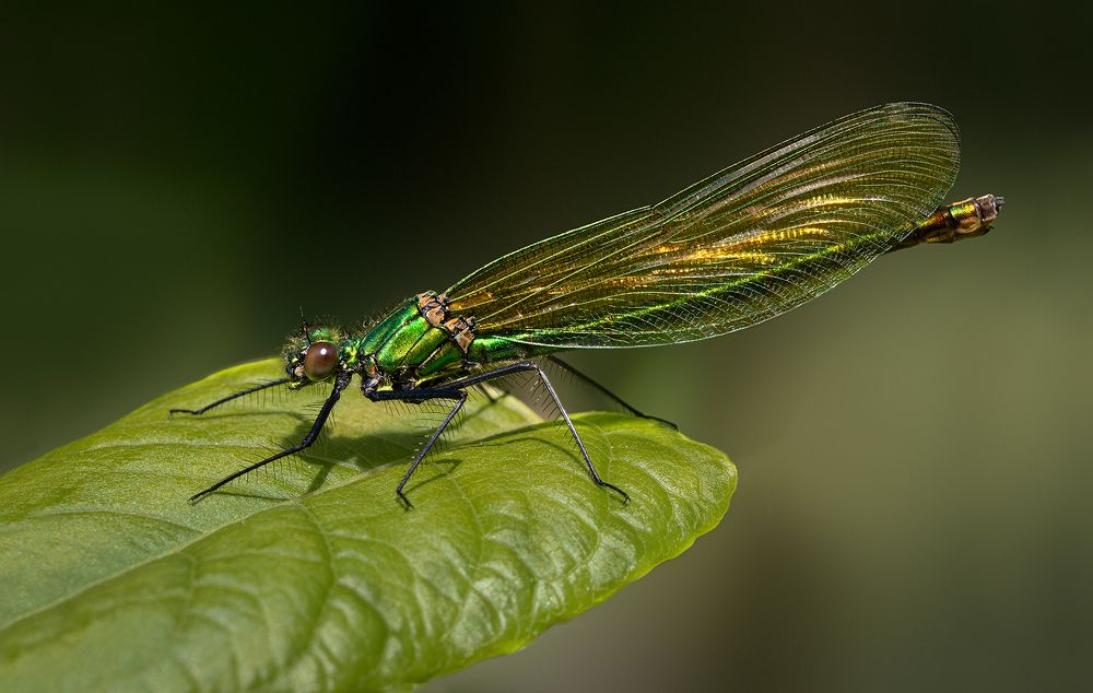 Photograph by Eddie Leach