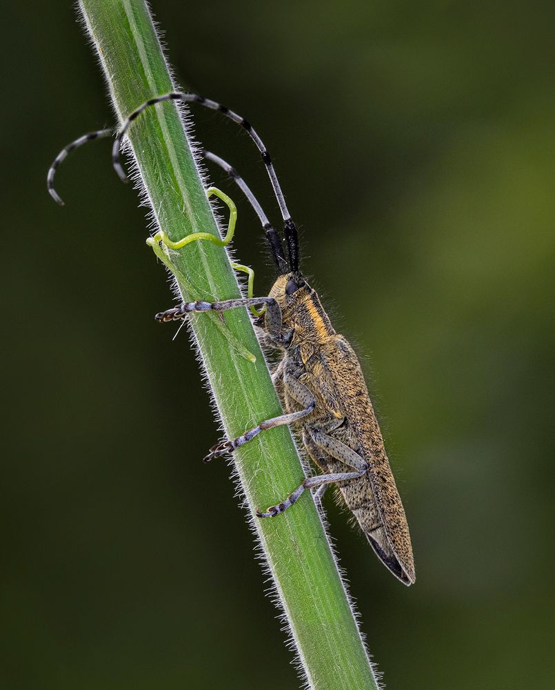 Photograph by Eddie Leach