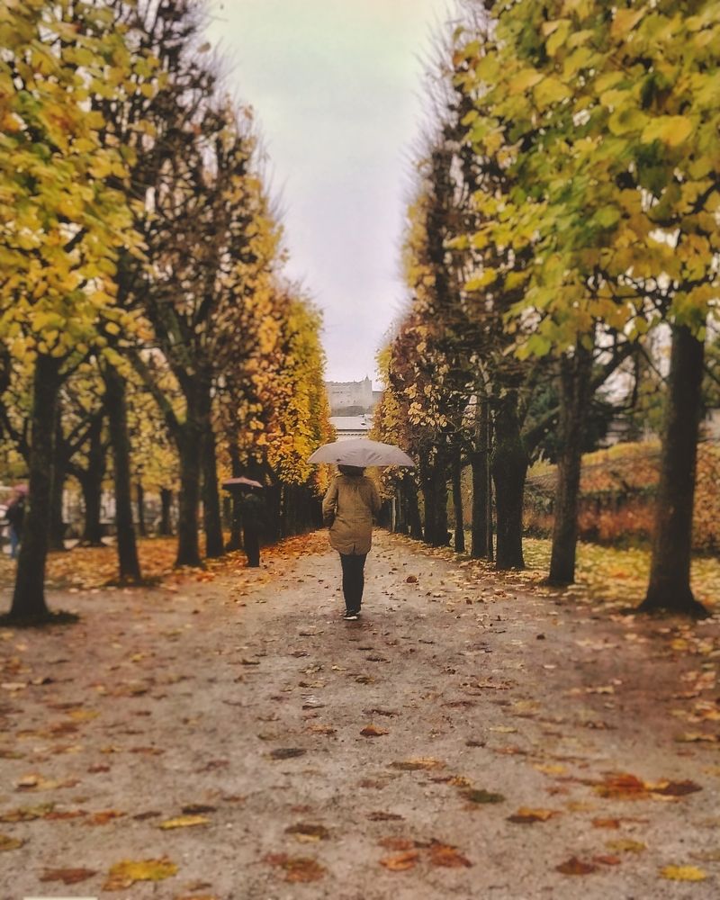 Фотография автора Ankit Gupta