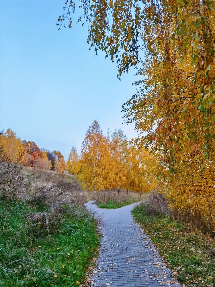 Photograph by Ольга