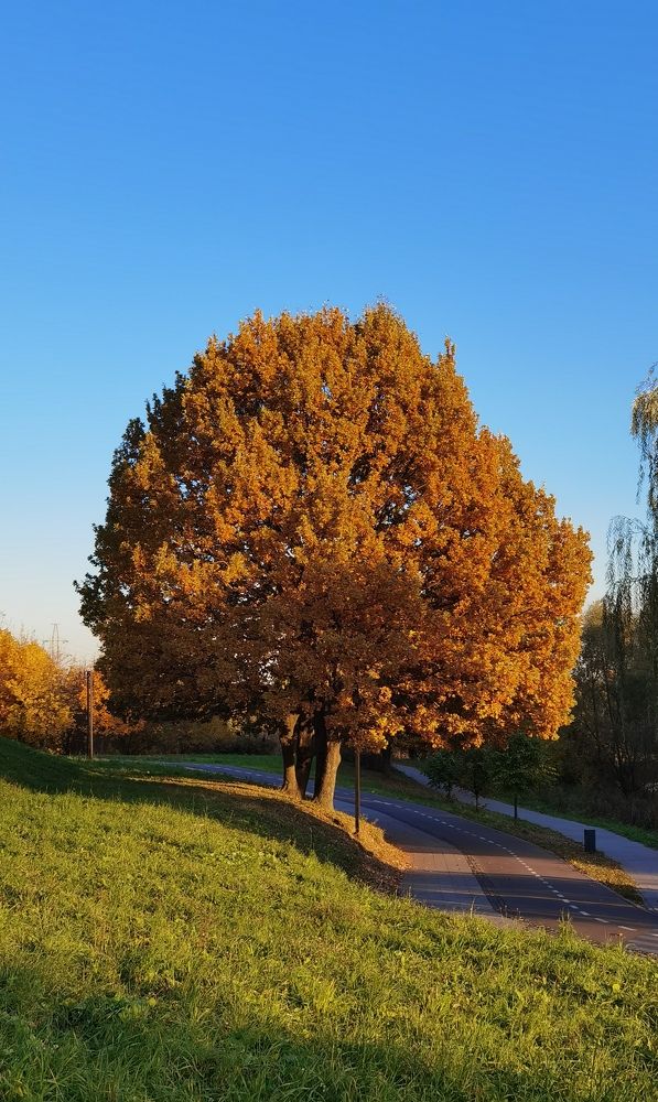 Photograph by Ольга