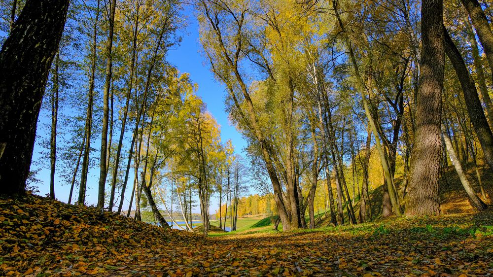 Photograph by Александр Елизаров