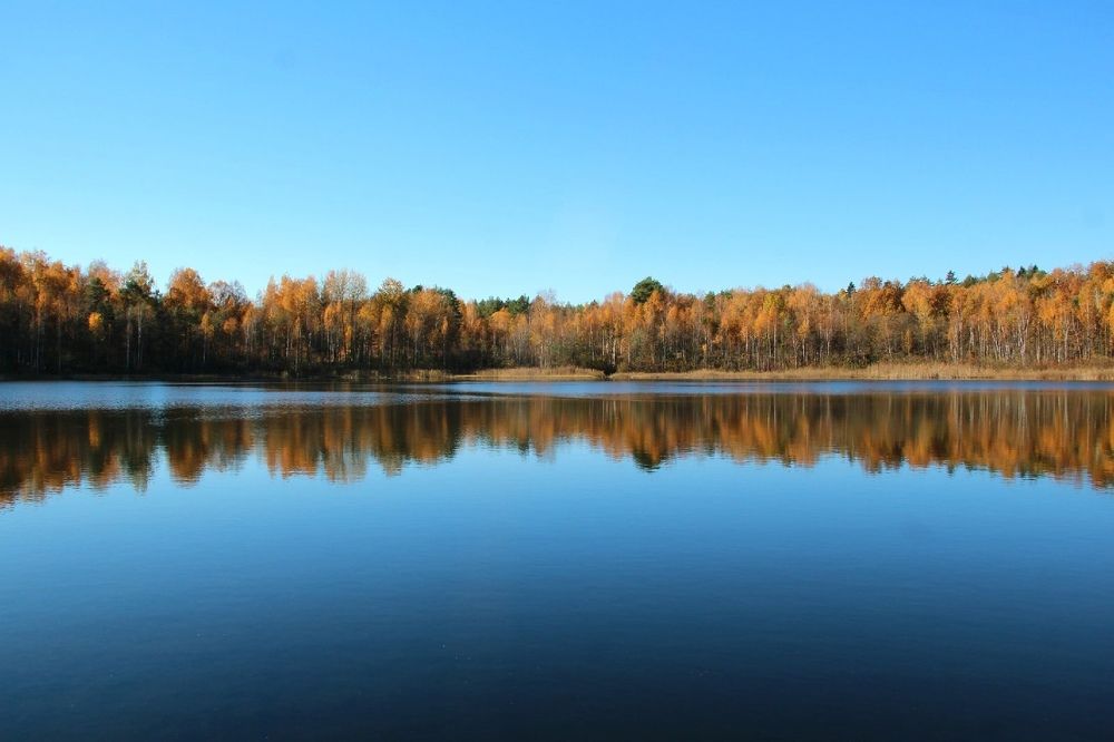 Photograph by Марина Иванникова