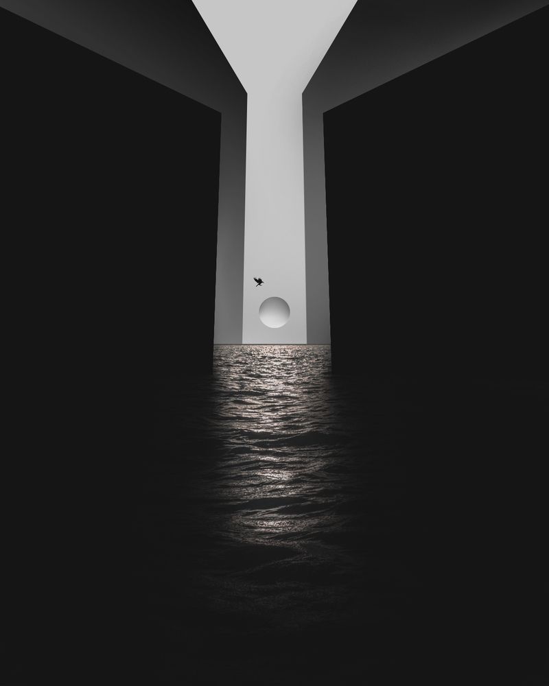 Photograph by iman hafezkhan