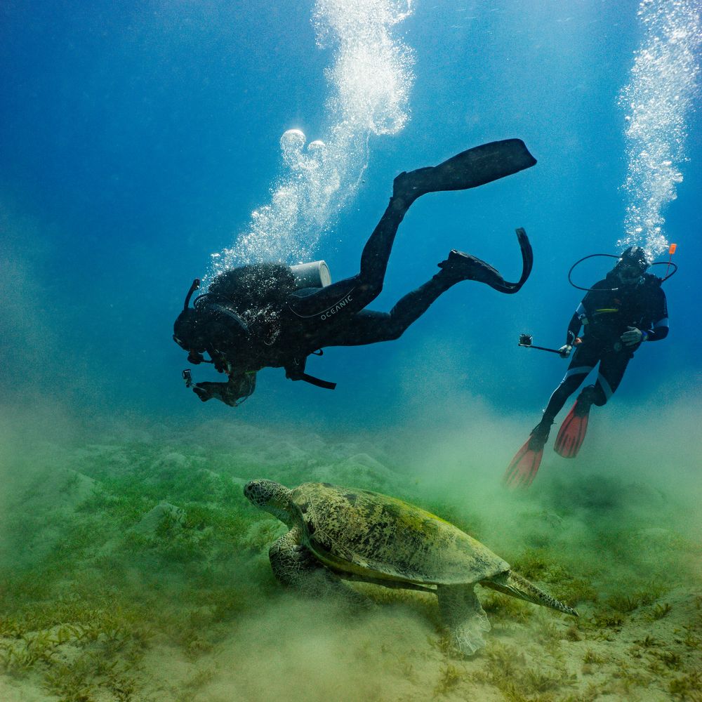 Фотография автора Олег Бричка