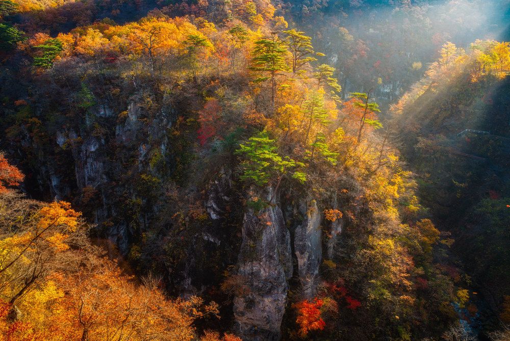 Фотография автора Nguyen Khac Tien