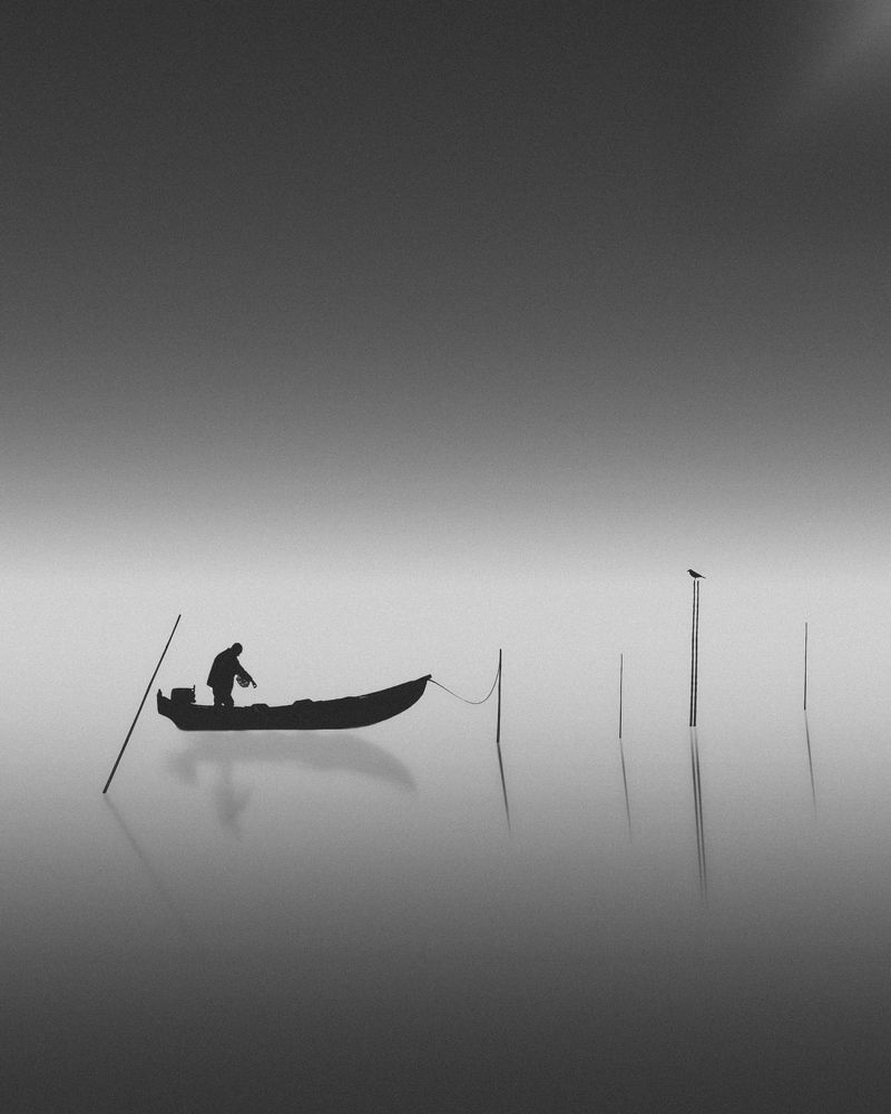 Photograph by iman hafezkhan