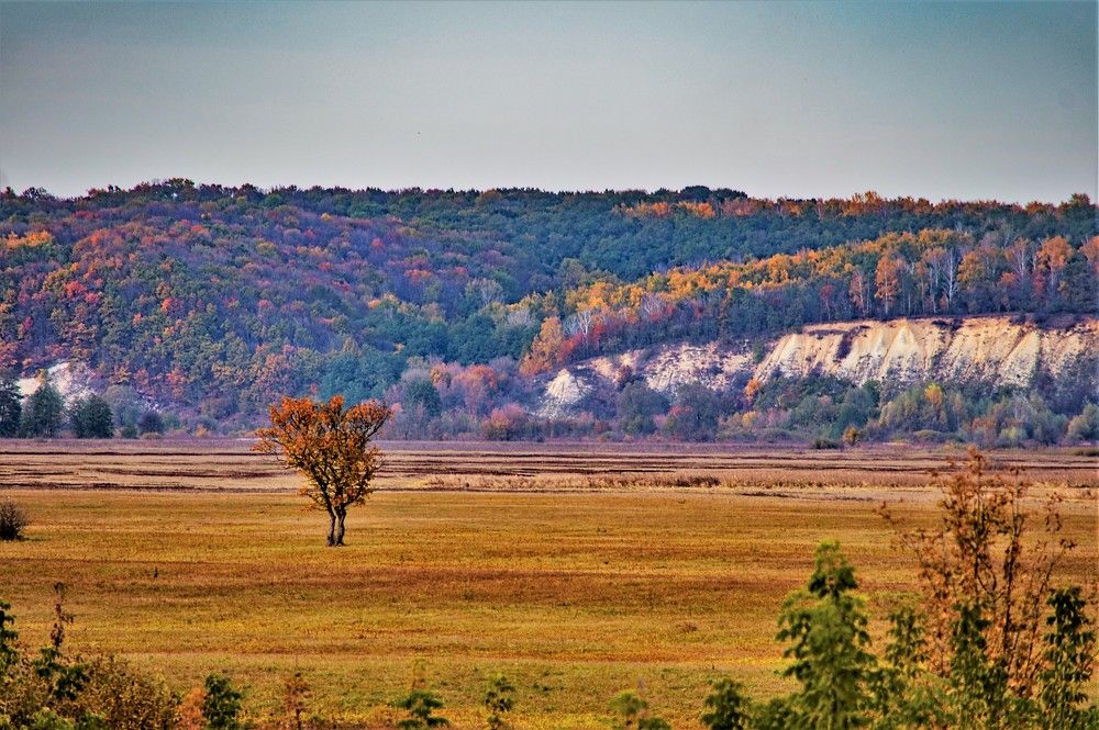 Photograph by Алексей Сиваков