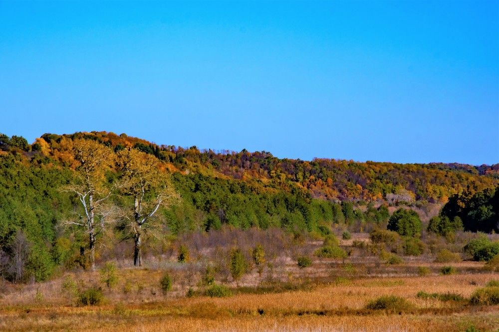 Photograph by Алексей Сиваков