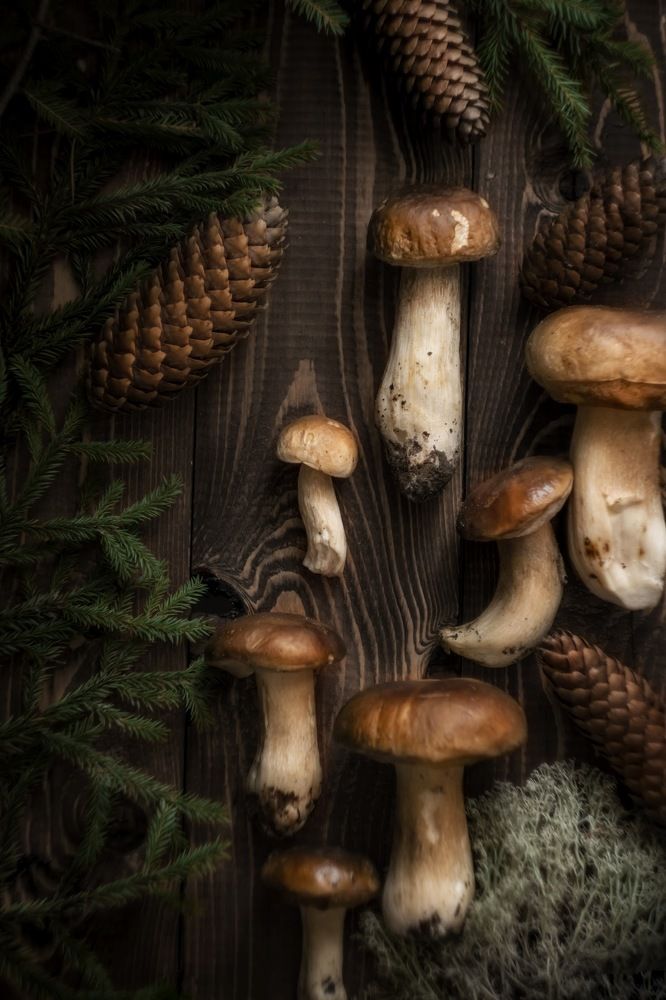 Photograph by Ольга Серова