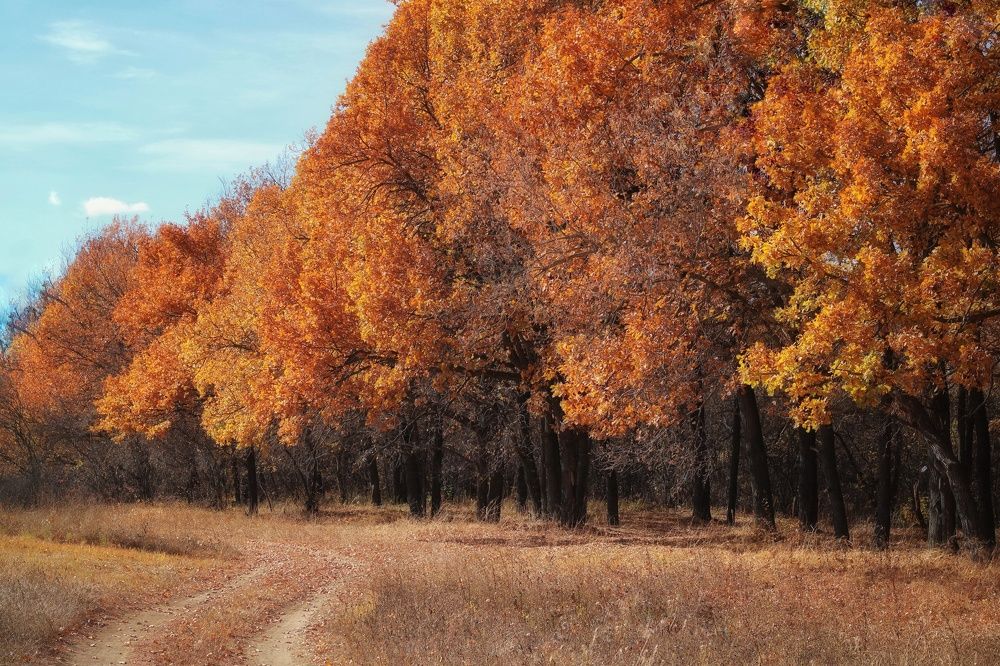 Photograph by Гульжан Шарипова