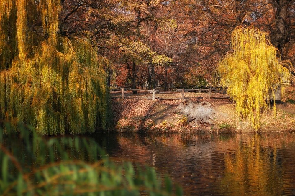 Photograph by Гульжан Шарипова