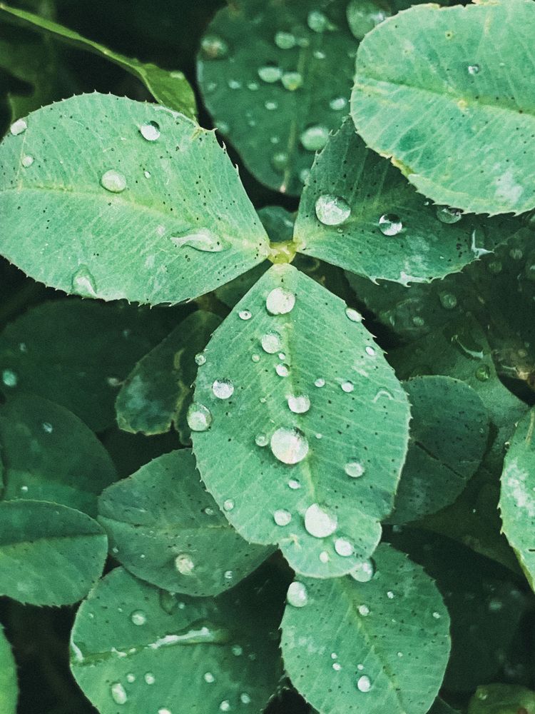 Photograph by Жанна Думинская