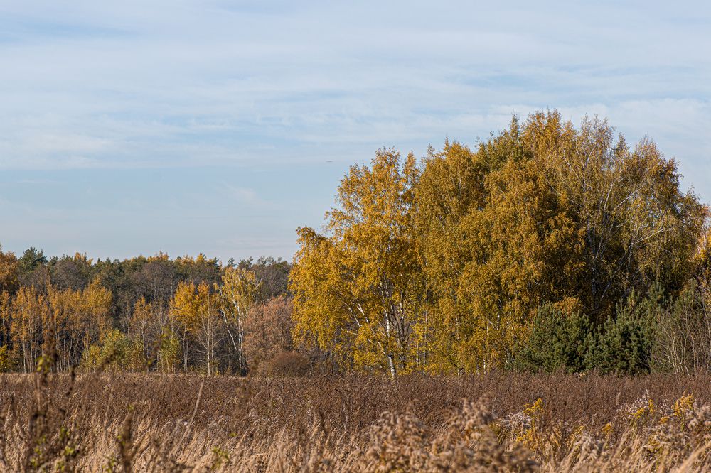 Photograph by Александр Бураков