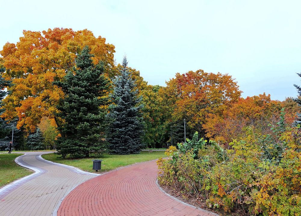 Photograph by Тамара Шкарупа