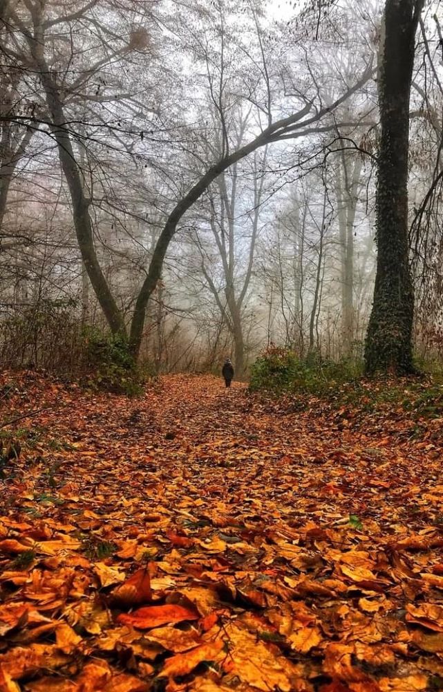 Photograph by Nunu Gambashidze