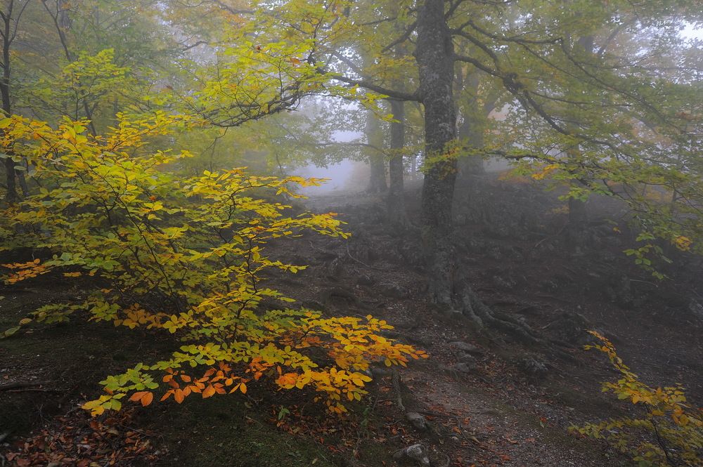 Photograph by Светлана Борозенцева