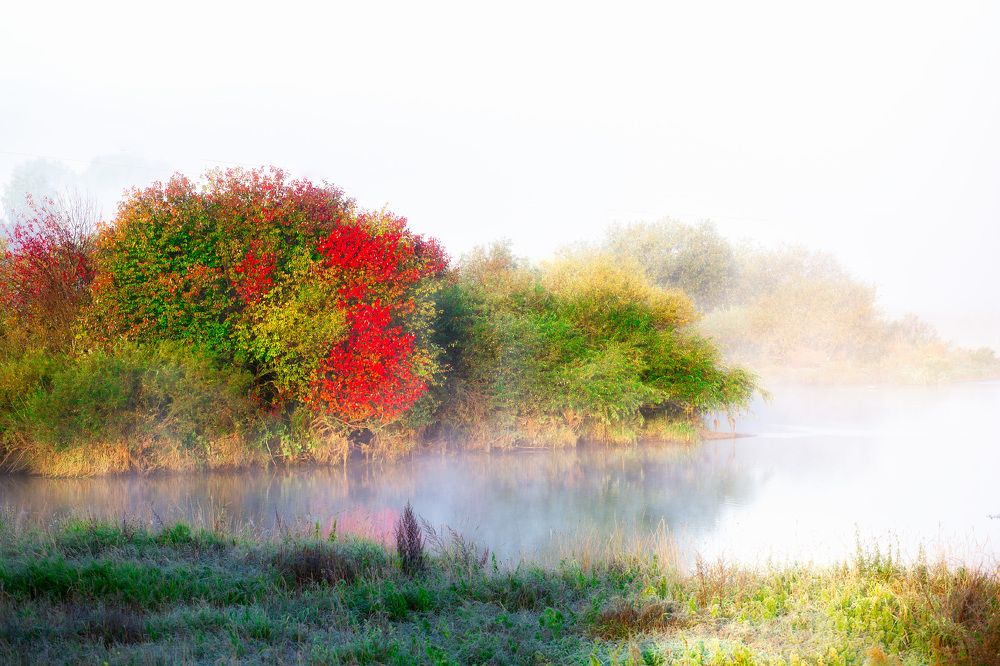 Photograph by Алексей Егорычев