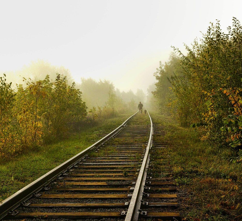 Photograph by Лариса Лофицкая