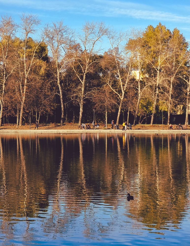 Photograph by Екатерина Воротникова