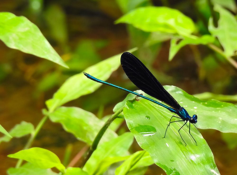 Photograph by setyadi Budi Siswoyo
