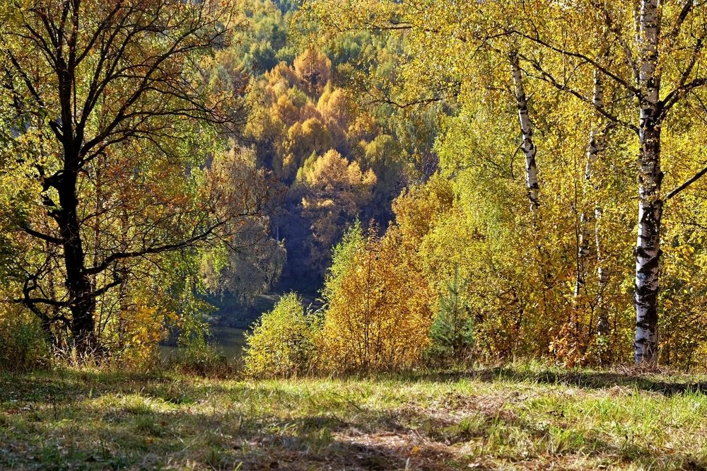 На склоне осени