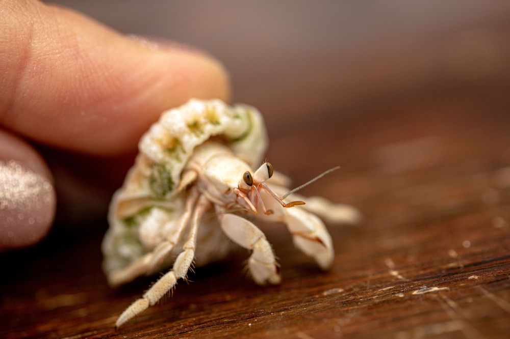 Photograph by Жанар/Zhanar Джаксыбаева/Dzhaksybaeva