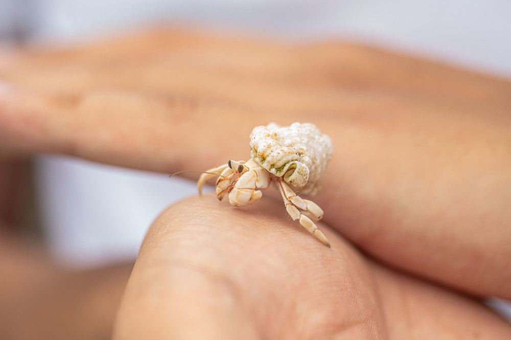 Photograph by Жанар/Zhanar Джаксыбаева/Dzhaksybaeva