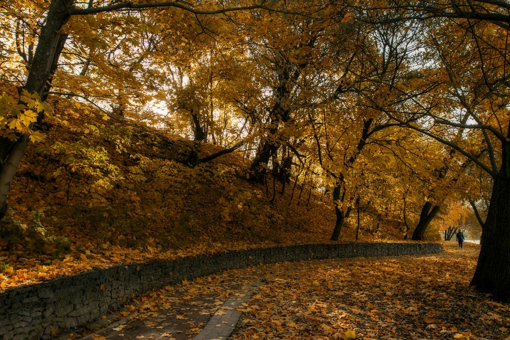 Краски осени