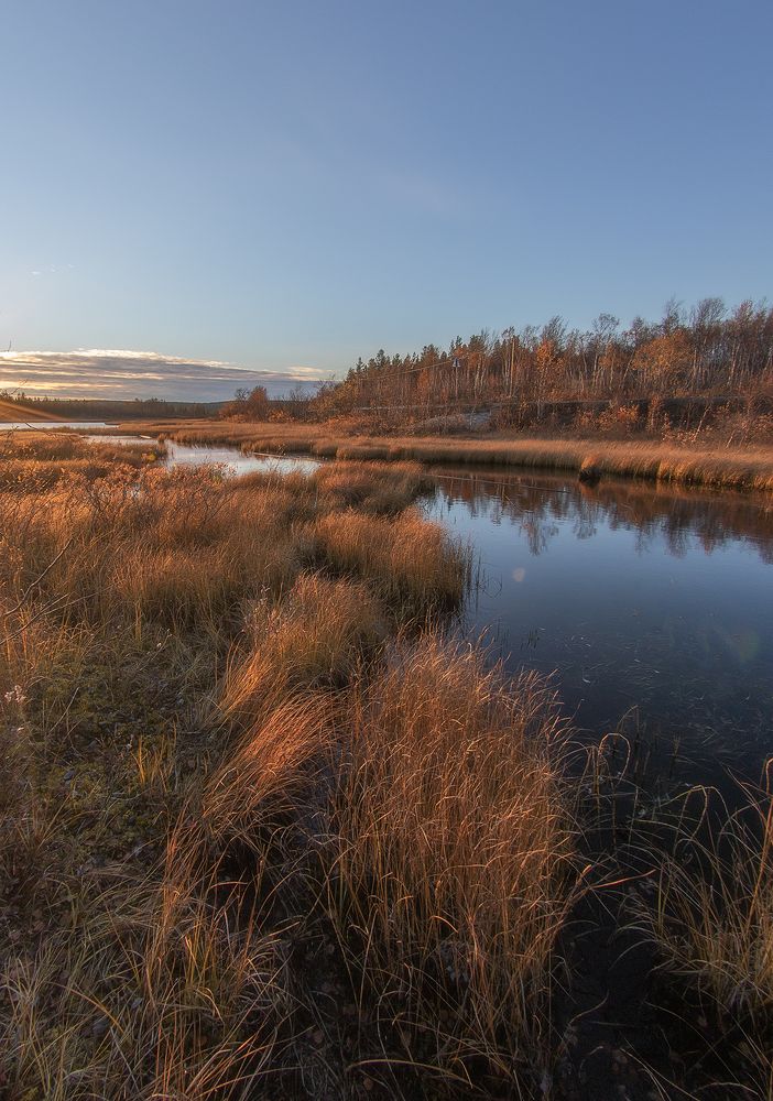 Photograph by Светлана Ржевская