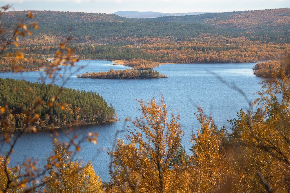 Photograph by Светлана Ржевская