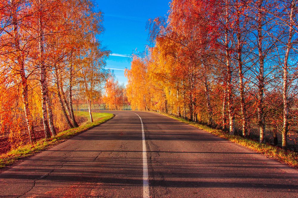 Photograph by Liudmila Pilets