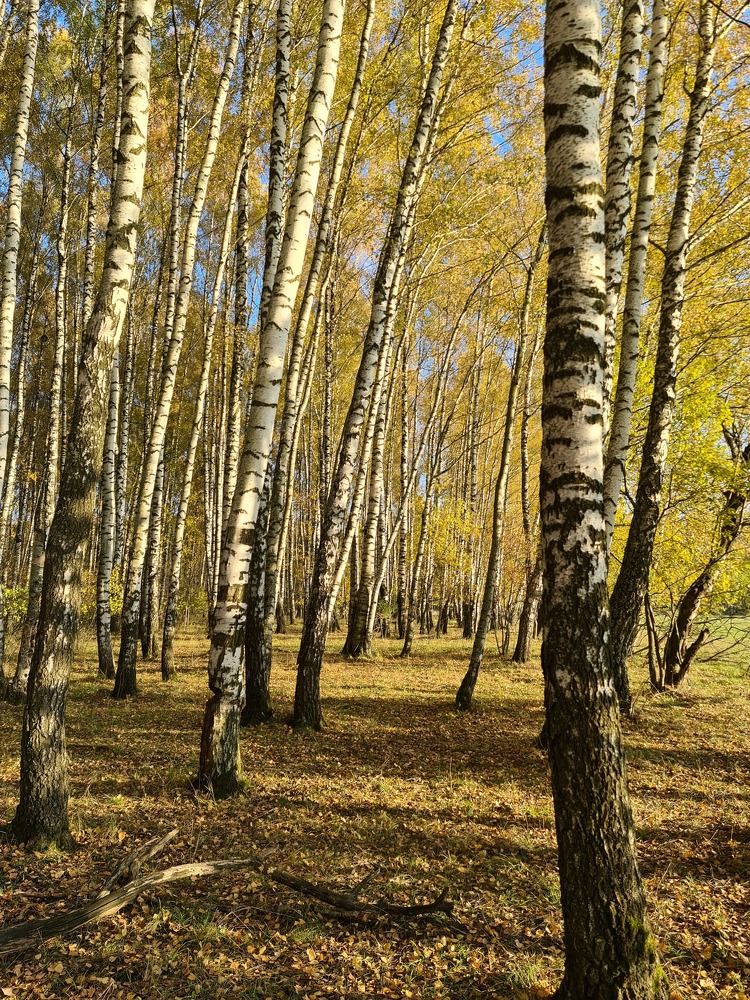 Photograph by Екатерина Богдасарова