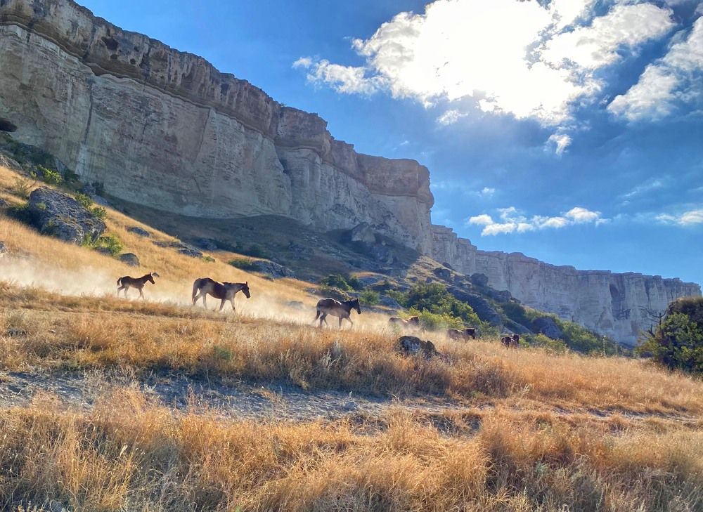 Photograph by Андрей Ныриков