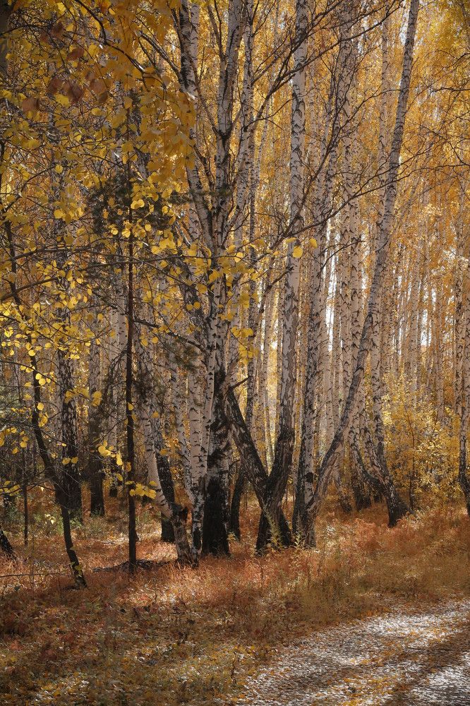 Photograph by Татьяна Гатиятуллина