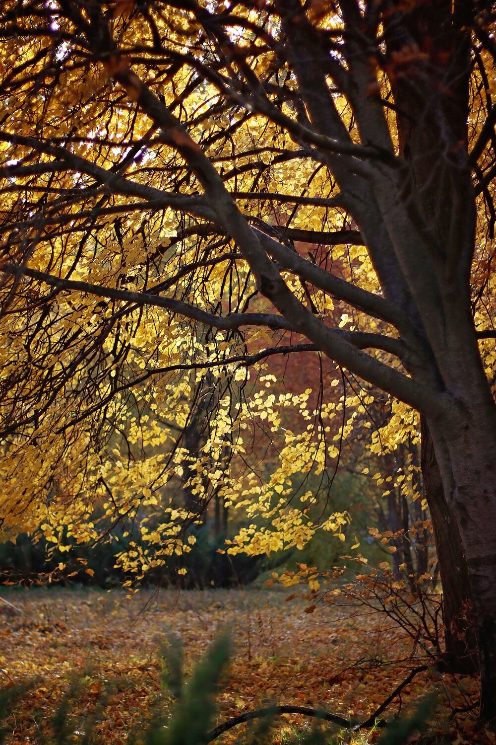 Photo #6587158