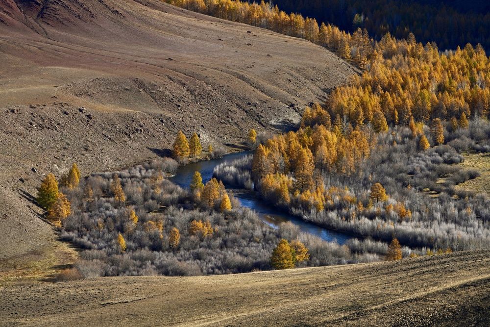 Photograph by Андрей Кузнецов