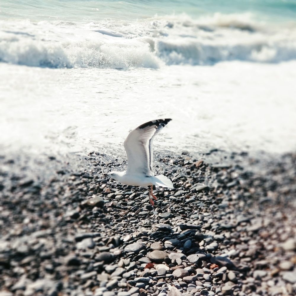 Photograph by Николай Ковальчук