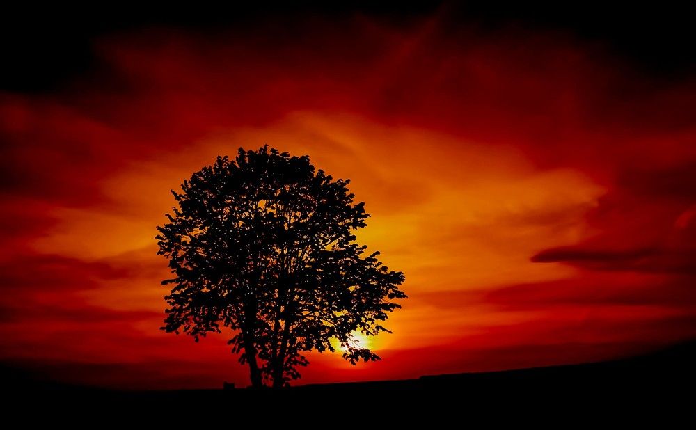 Фотография автора Katerina Georgieva