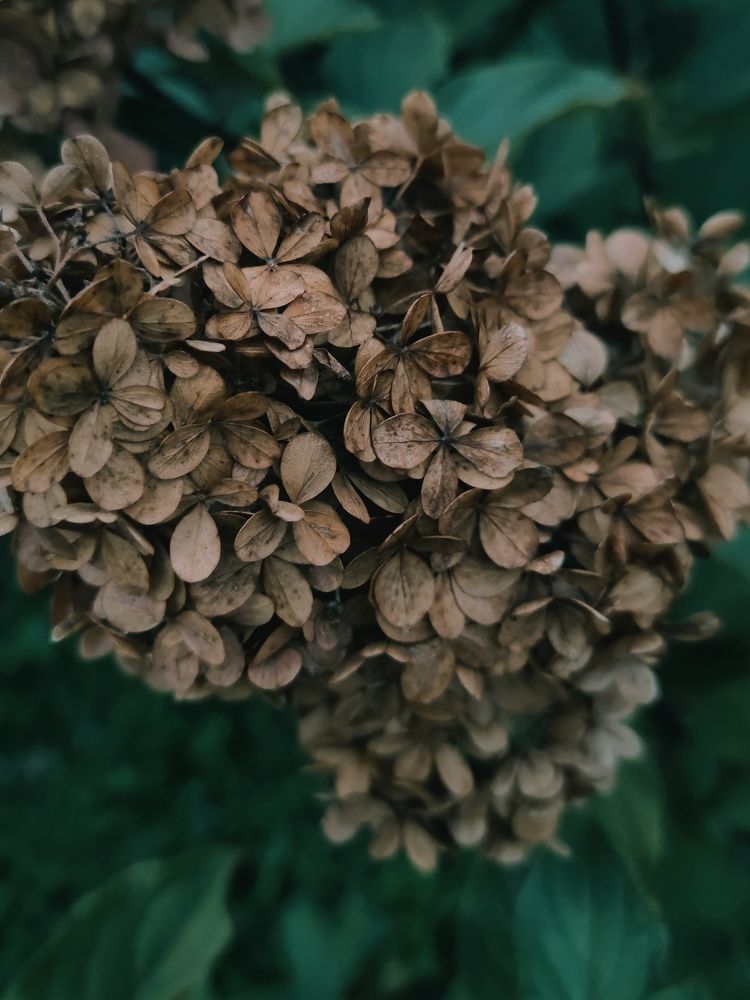 Photograph by Ирина Севрюкова