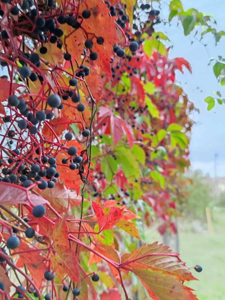 Photograph by Ирина Севрюкова