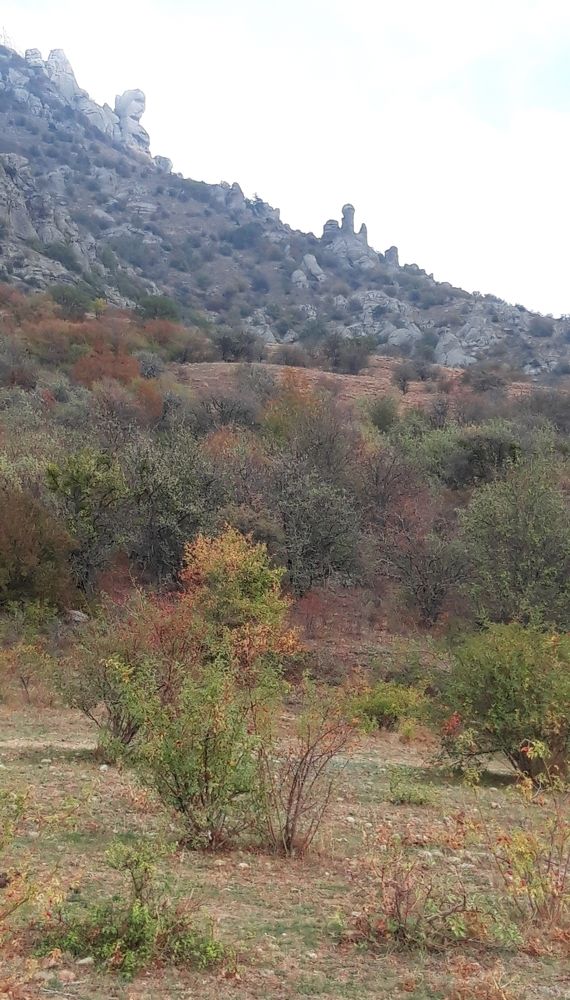 Photograph by Наталья Пусулиди