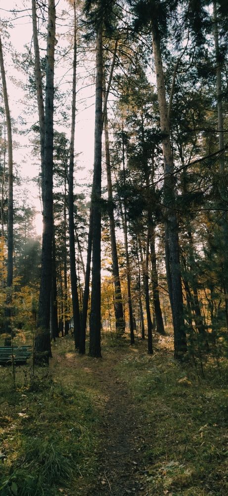 Photograph by Ирина Севрюкова