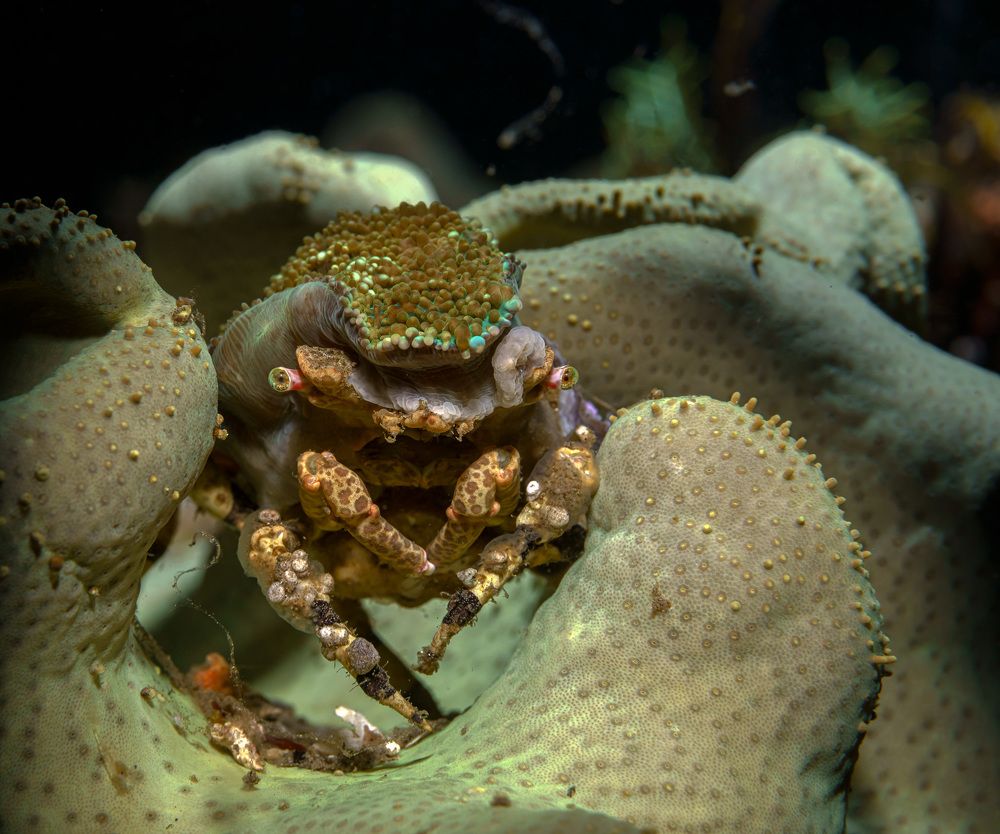 Photograph by Андрей Савин