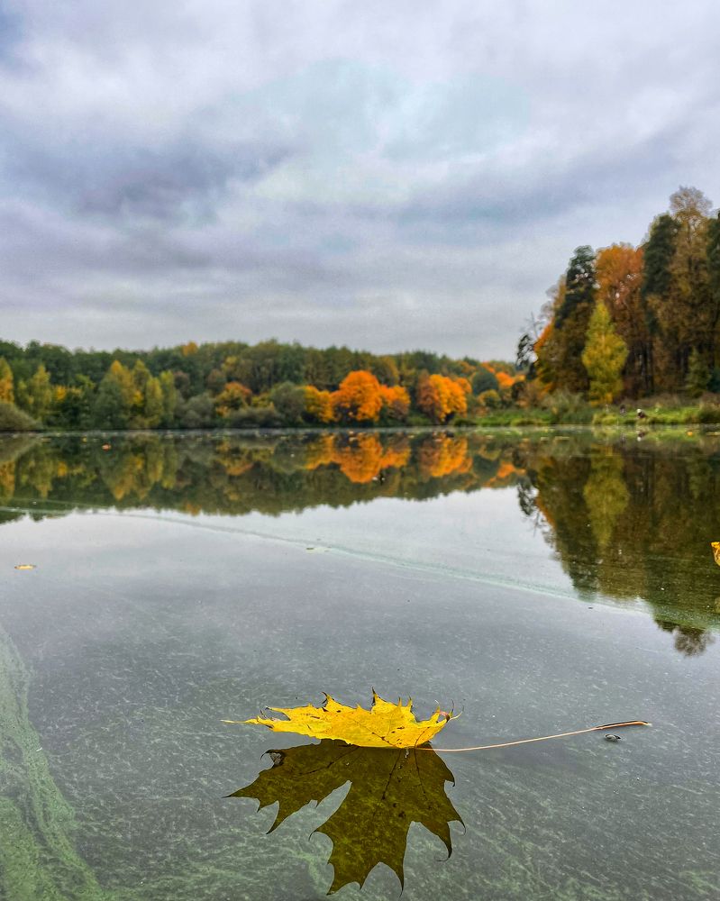 Мобильная фотография краски осени