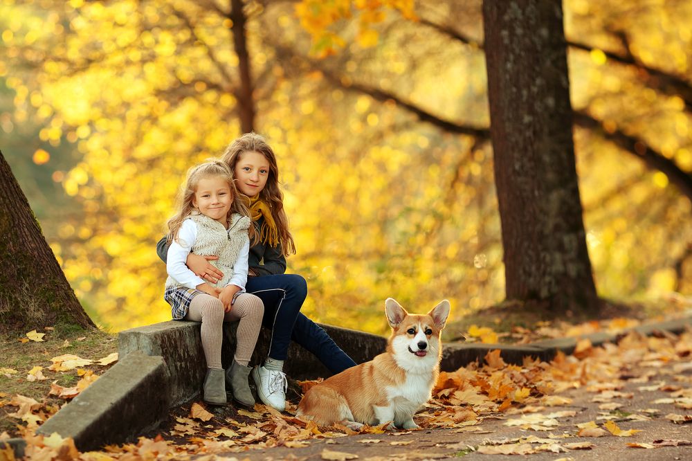 Photograph by Нина Наумик