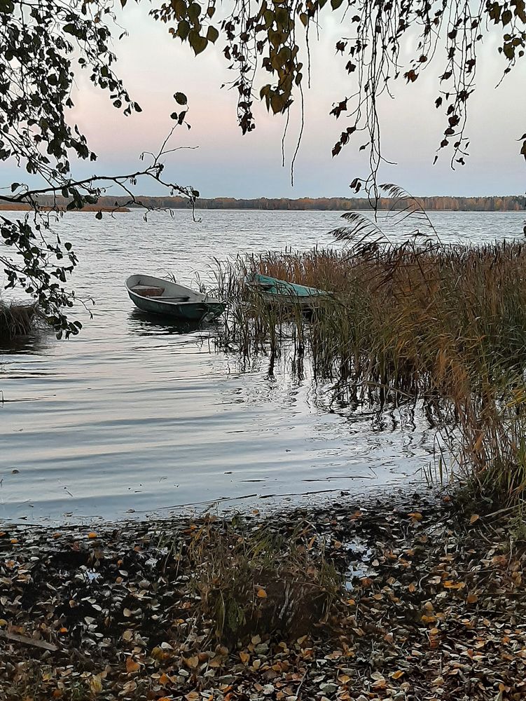 Photograph by Olga Smirnova