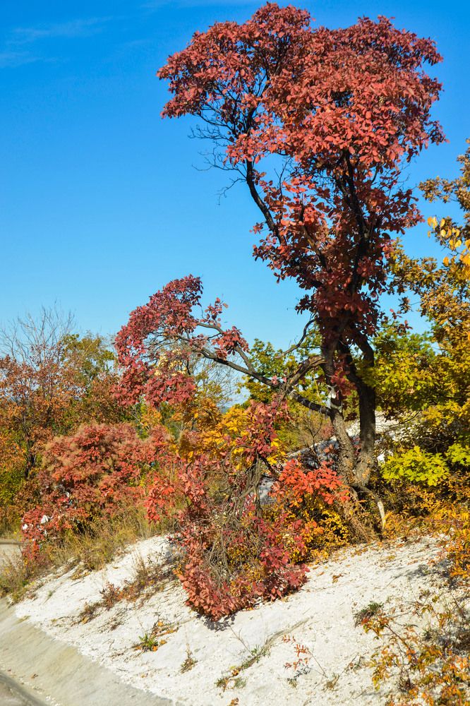 Photograph by Inna Logvinova