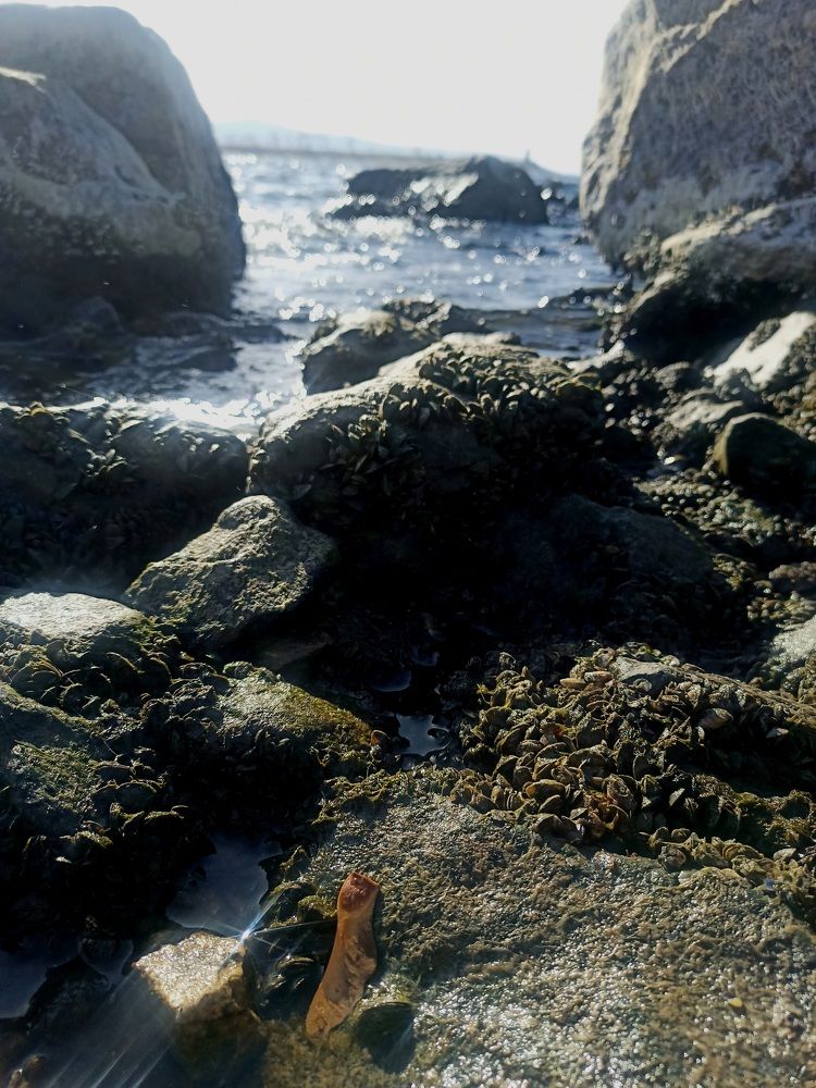 Photograph by Елизавета Мишина