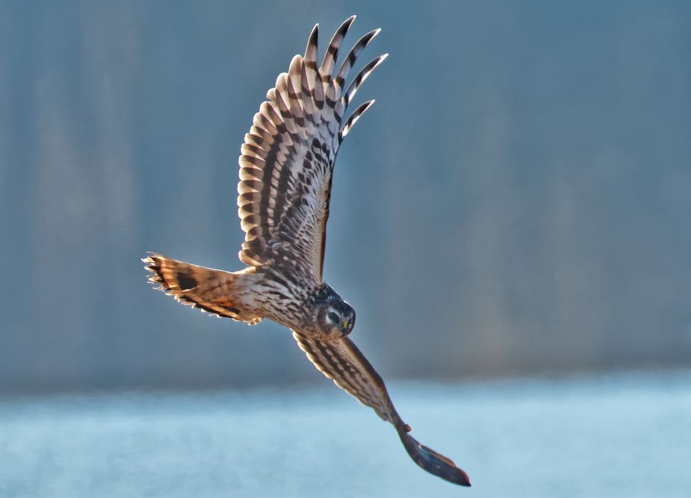 Photograph by  Alexey